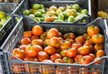 Keď má každá vec svoje miesto, logistika funguje lepšie Prehľadne organizovaný sklad s regálmi, označenými úložnými miestami a pripraveným tovarom na expedíciu.